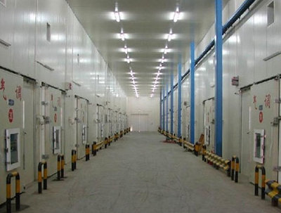 优化仓储效率的核心 全面了解现代仓储设备